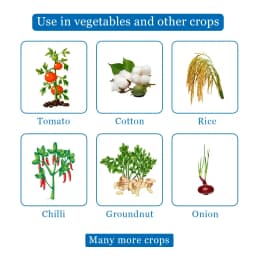 बायर डेसिस 2.8 ईसी - डेल्टामेथ्रिन 2.8% ईसी. कीटनाशक चबाने और रस रस चूसने वाले कीटों के व्यापक नियंत्रण के लिए. 4