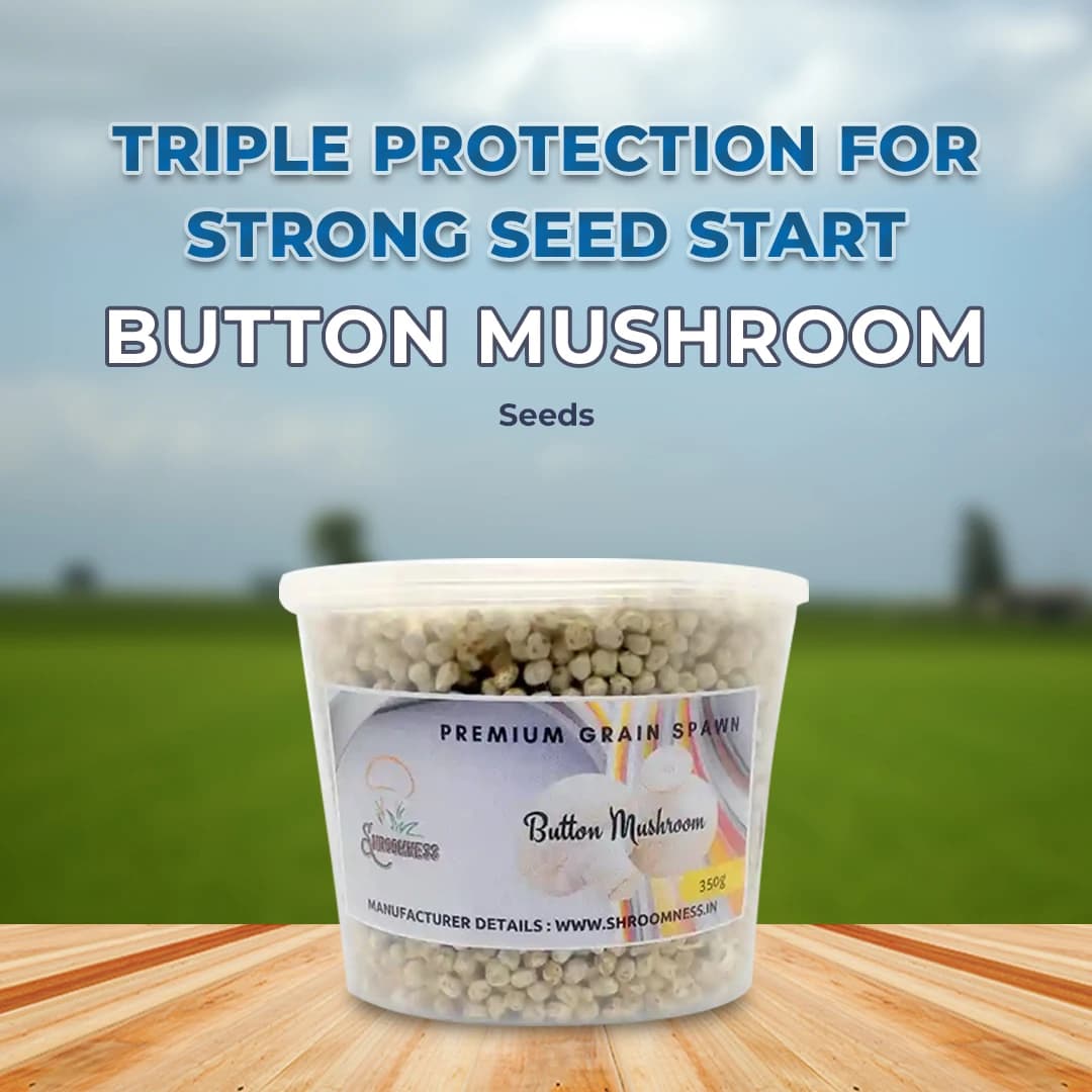 थानवी बायोटेक्नोलॉजी बटन मशरूम स्पॉन, एगैरिकस बिस्पोरस, केवल स्पॉन शामिल, सर्वोत्तम गुणवत्ता - Image 2