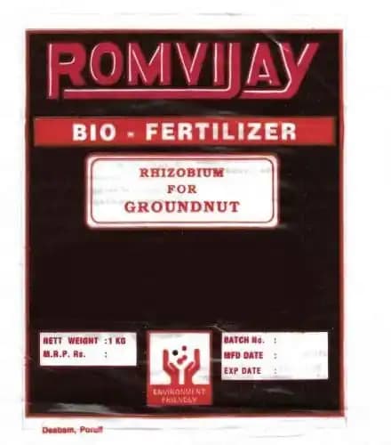 ROM Rhizobium For Groundnut (Biological Fertilizer) nitrogen-fixing bacterium - Image 1