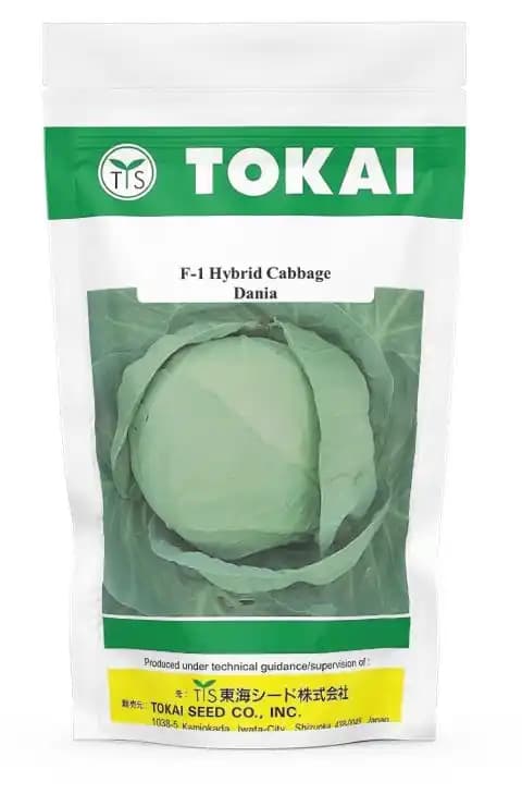 Tokai Hybrid F1 Cabbage Dania Seeds, Patta Gobhi Ke Beej, Round And Very Compact Heads