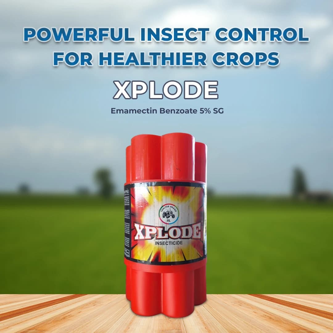 IIL Xplode Insecticide - Image 2