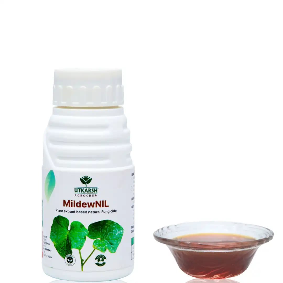 Utkarsh MildewNIL Plant Extract Based Natural Fungicide For Powdery And Downy Mildew - Image 7