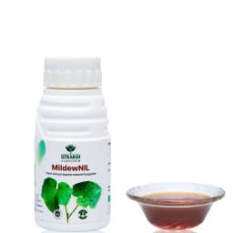 Utkarsh MildewNIL Plant Extract Based Natural Fungicide For Powdery And Downy Mildew 7