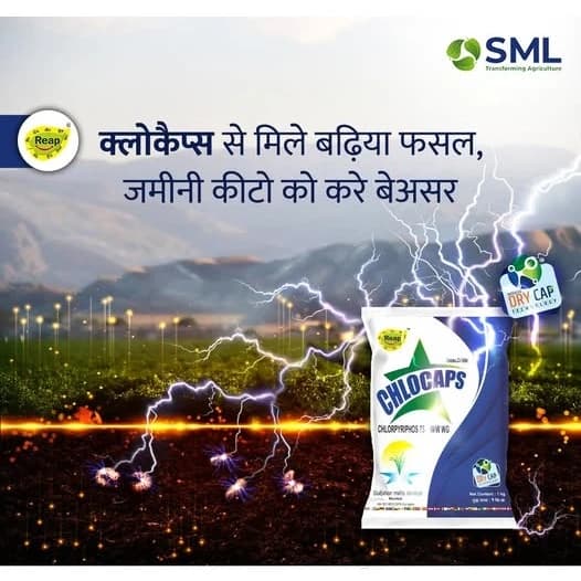 SML Chlocaps Chlorpyrifos 75% WG Insecticide, Broad-Spectrum Pest Control For All Crops - Image 3