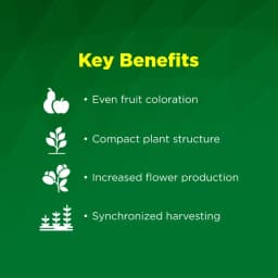 Titan Agritech Peppy-X Ethephon 39% SL Plant Growth Regulator, Enhances Flower Initiation In Fruit Trees And Ornamentals 3
