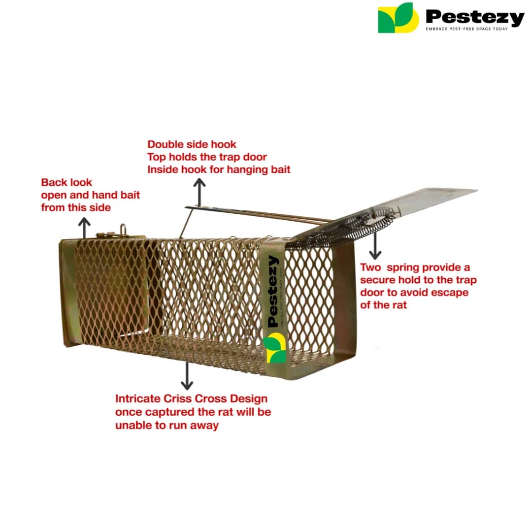 Pestezy Mouse Or Rat Trap Cage, Humane, Durable, Safe And Easy to Use, Cross Design, Allowing For Safe Release - Image 3