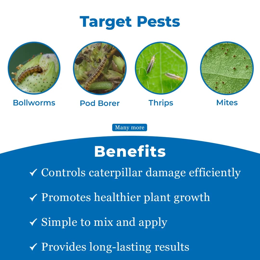 Agriventure Emabenz Gold (Emamectin Benzoate 5% Sg) Insecticide, Control All Types Of Worms And Caterpillars - Image 3