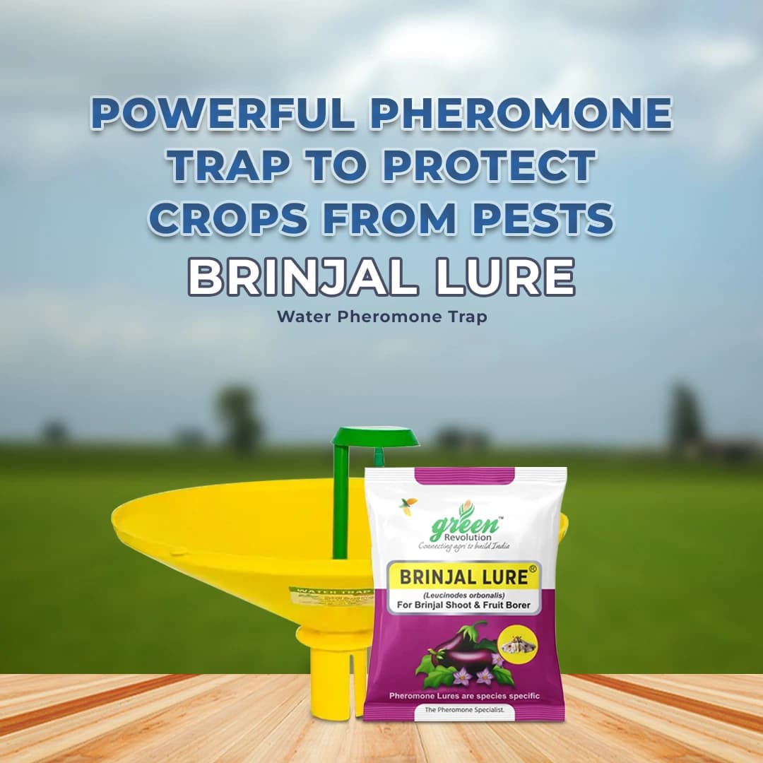 Green Revolution Brinjal Lure - Pheromone Trap For Brinjal - Image 2