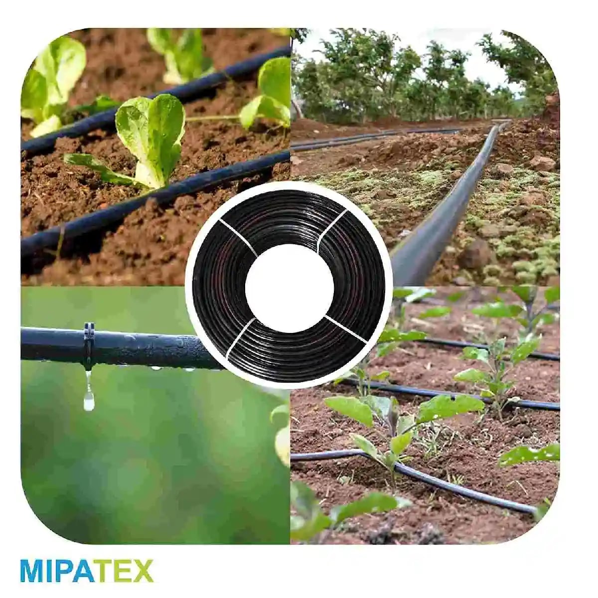Mipatex Inline Drip Irrigation Pipe, Dripper at Each 40cm, 4 Litre Water Discharge per Hour, Best Quality UV Material, LLDPE.