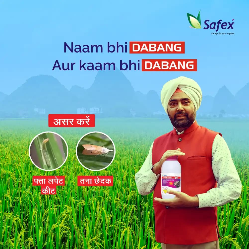 Safex Dabang Insecticide - Image 4