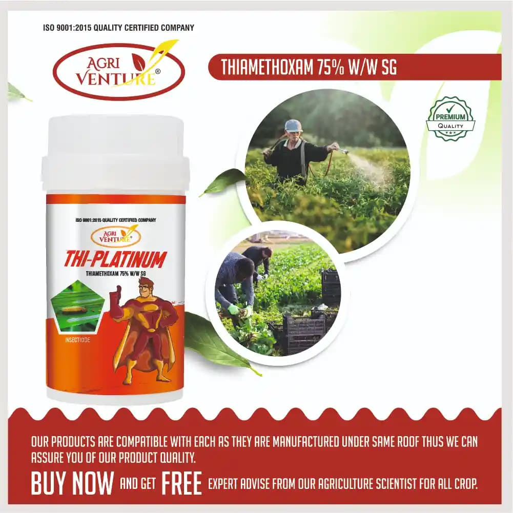 Agriventure THI-PLATINUM Thiamethoxam 75% SG Insecticide, Protection Against Major Sucking Pests - Image 5