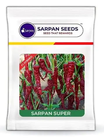 Sarpan Super Hybrid Byadagi Red Chilli Seeds, Highly Wrinkled, Excellent Quality