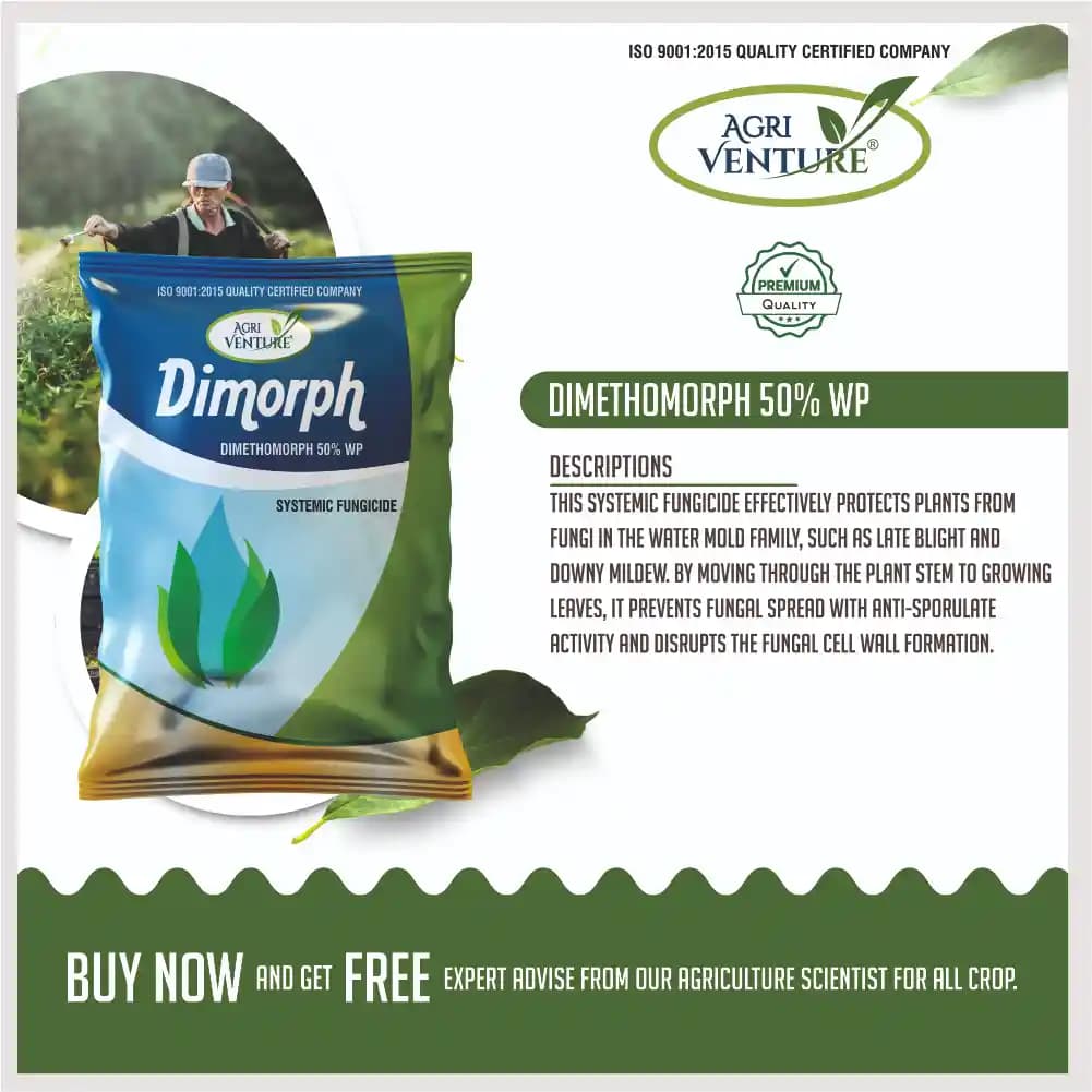 Agriventure Dimorph Dimethomorph 50% WP Systemic Fungicide For Downy Mildew Control - Image 2