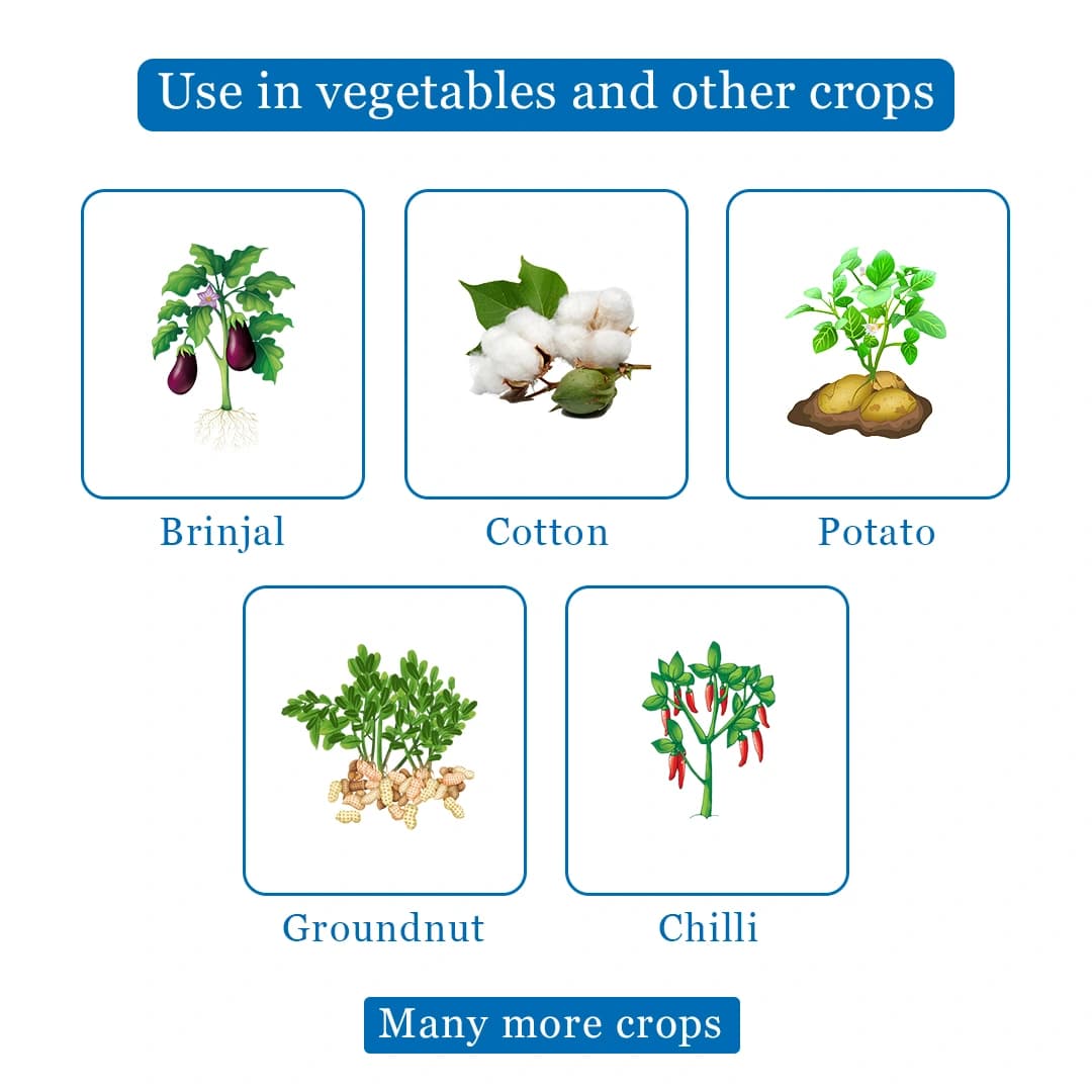 BACF Recomb Insecticide - Image 4