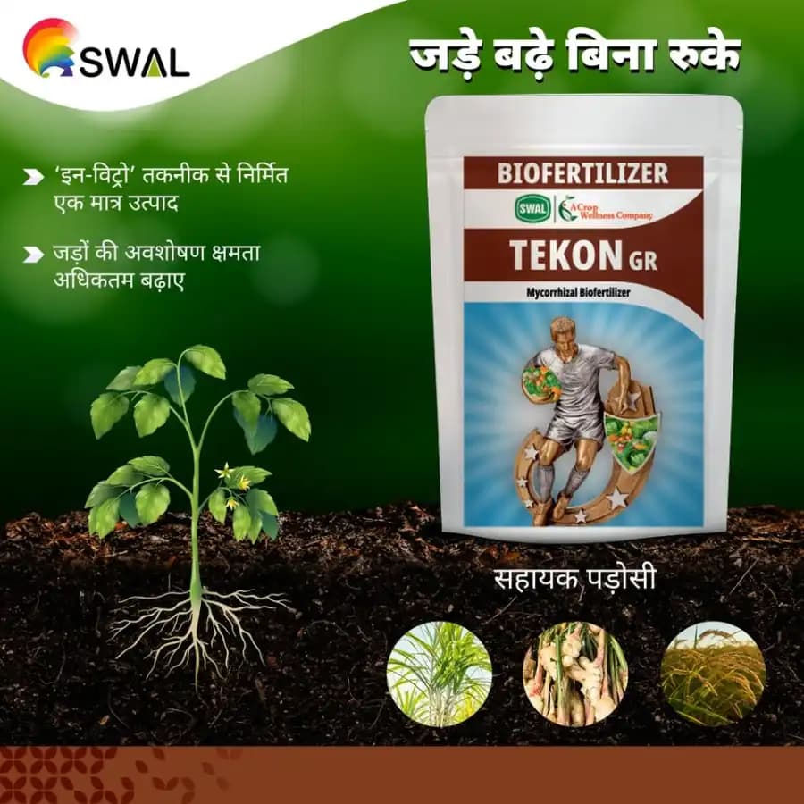 Swal TEKON GR Mycorrhizal Bio Fertilizer, Increase The Nutrient Uptake And Improves The Rhizosphere - Image 3