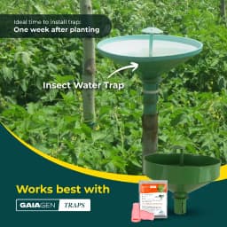 Gaiagen Pheromone Lure For Tomato Leafminer Tuta Absoluta And Insect Water Trap 1.6L, IMO Certified. 10