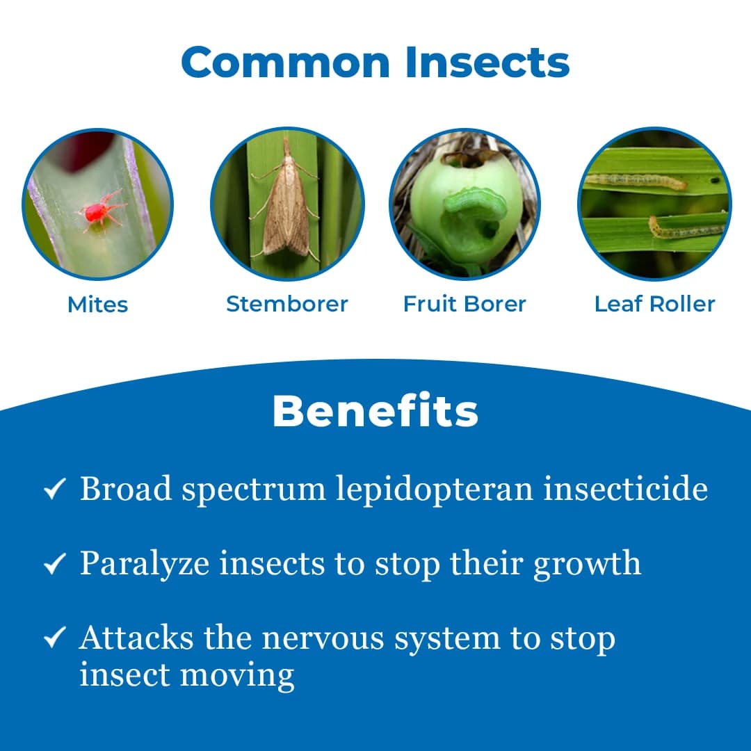 Novadok Insecticide - Novaluron 5.25% + Indoxacarb 4.5% SC - Image 3