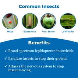 Novadok Insecticide - Novaluron 5.25% + Indoxacarb 4.5% SC 3