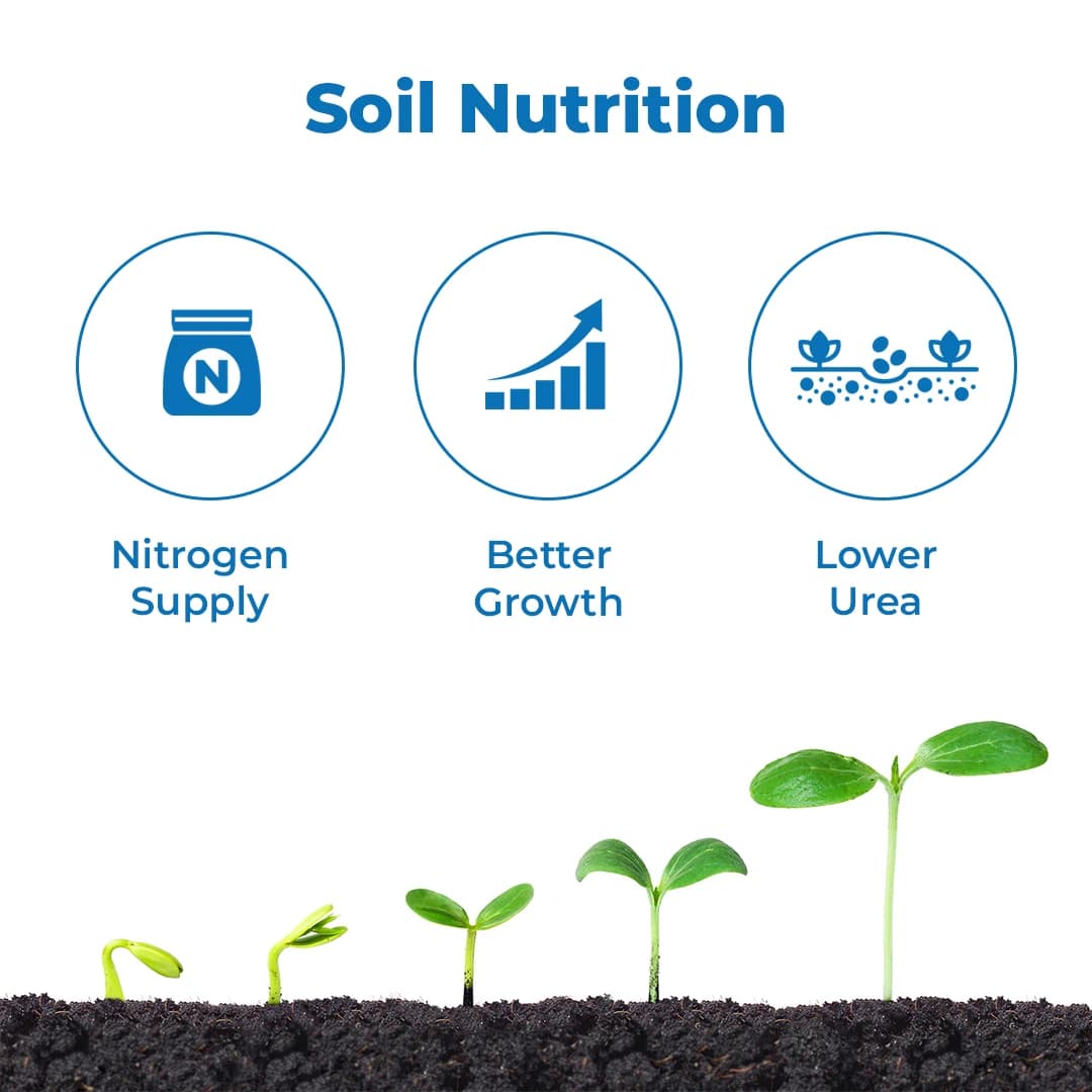 Agriventure Kheti Rakshak (Rhizobium) Increase Soil Productivity And Fertility Bactericide Organic Product Bio Fertilizers - Image 3