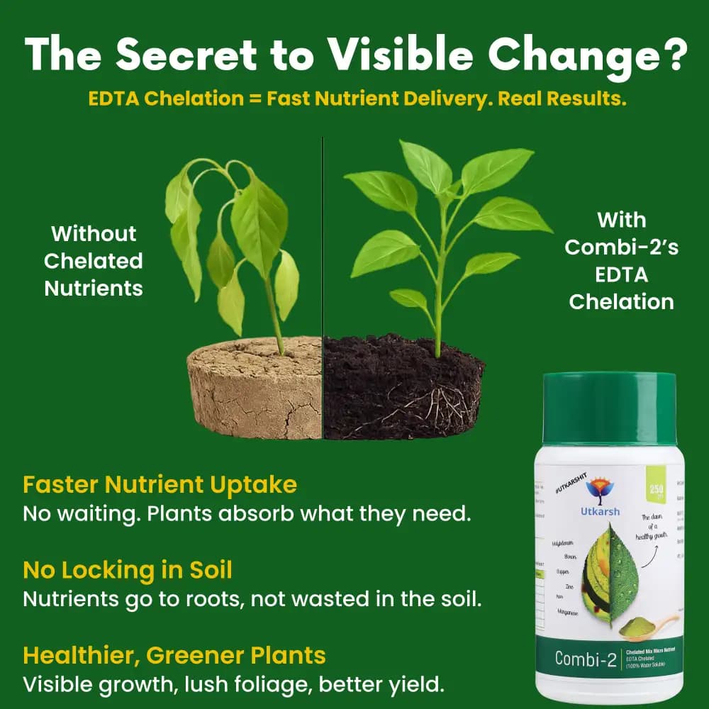 उत्कर्ष कॉम्बी-2 (EDTA चेलेटेड मिक्स माइक्रोन्यूट्रिएंट), जिंक, आयरन, मैंगनीज, कॉपर, बोरोन और मोलिब्डेनम जैसे आवश्यक सूक्ष्म पोषक तत्व प्रदान करता है। - Image 2