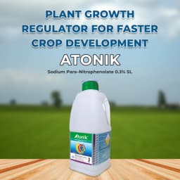 NACL Atonik Sodium Para Nitro phenolate 0.3% SL Plant Growth Regulator, Affects Various Stages Of The Development Of Plants 2