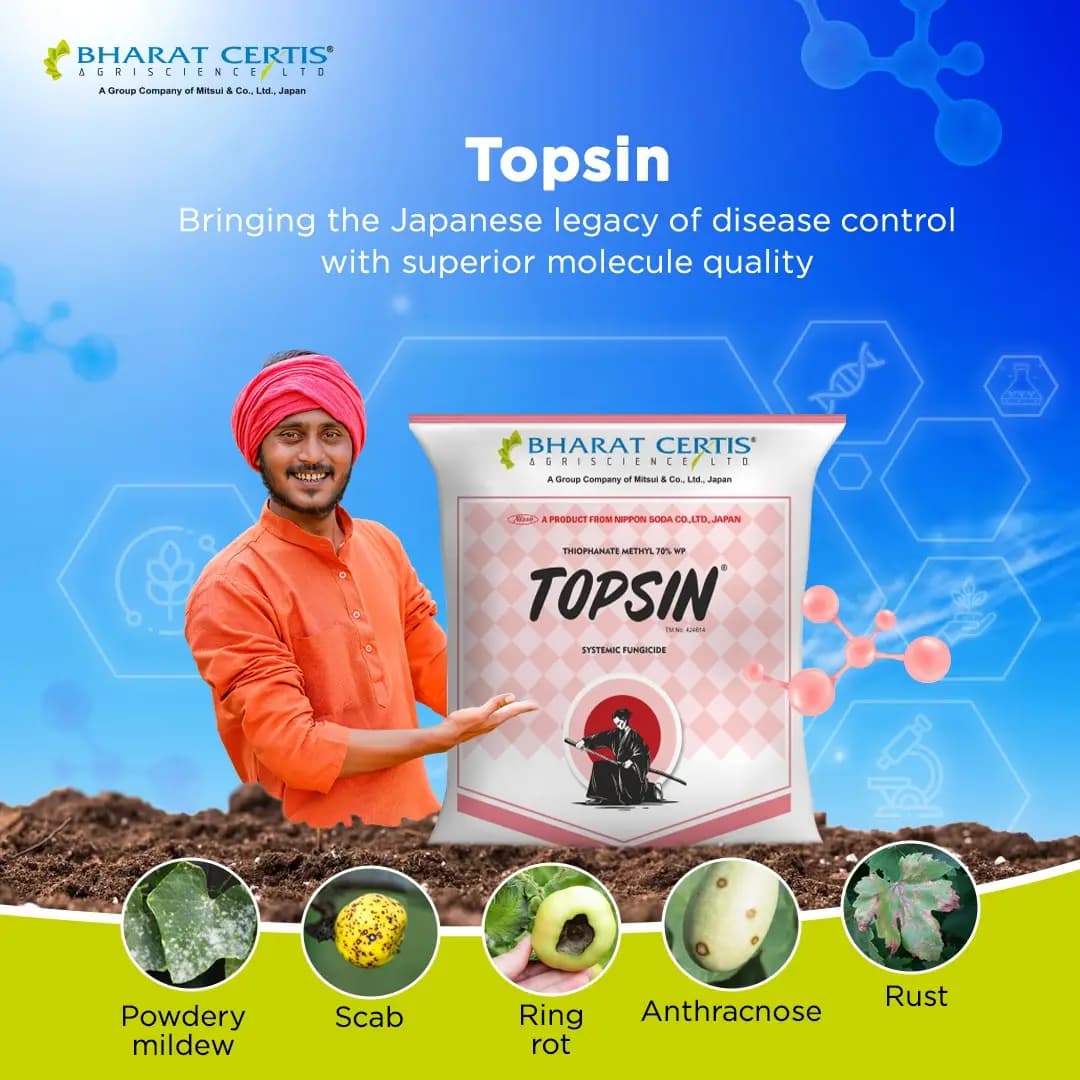 Bharat Certis Topsin Thiophanate Methyl 70% WP Systemic Fungicide, Controls Wide Range Of Fungal Diseases - Image 2