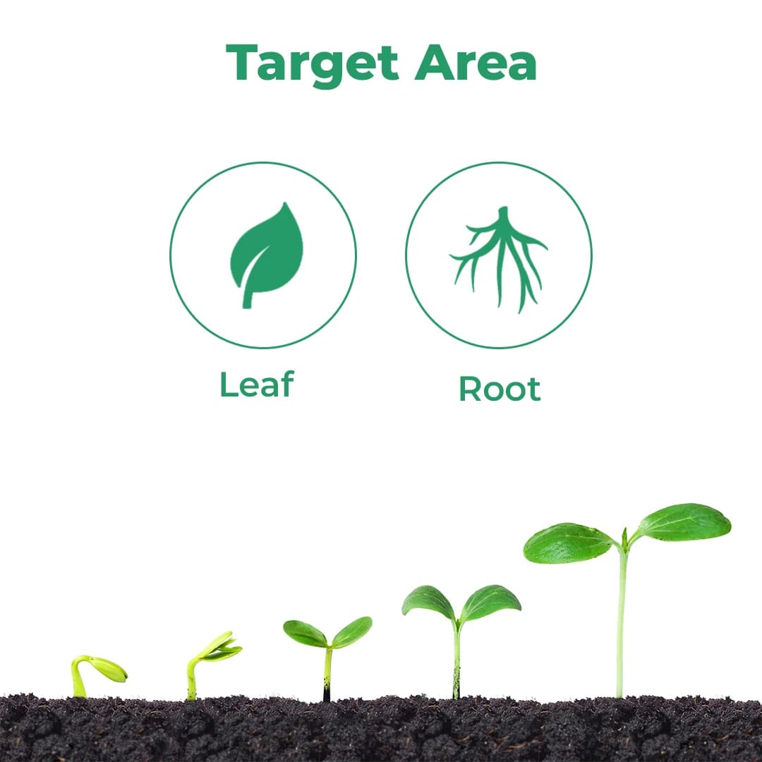 BACF Mirador Triacontanol 0.1% EW, Increases Plant Photosynthesis, Plant Growth Regulator - Image 3