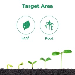 BACF Mirador Triacontanol 0.1% EW, Increases Plant Photosynthesis, Plant Growth Regulator 3