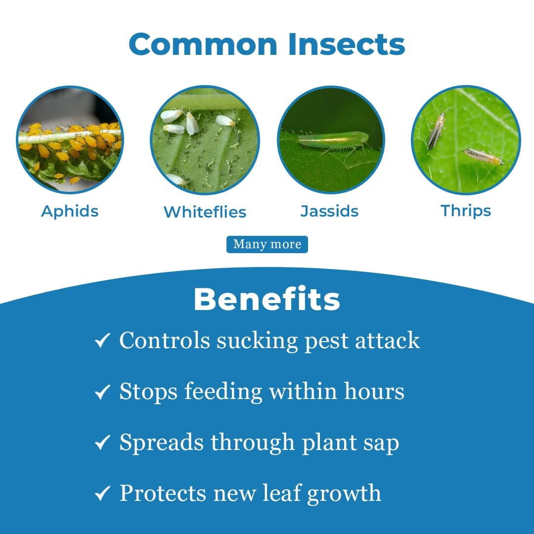 Exylon Thia Apex Insecticide - Thiamethoxam 75% SG - Image 3