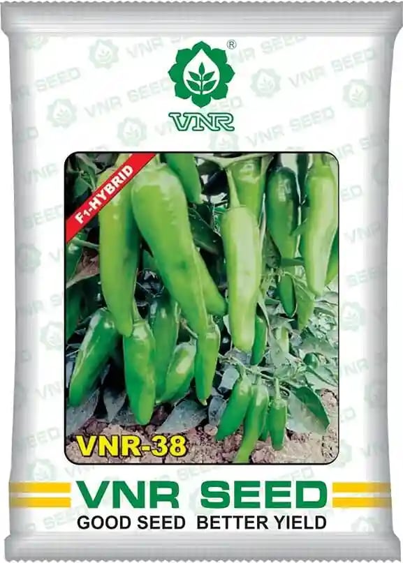 VNR-38 Chilli (Mirchi) Seeds