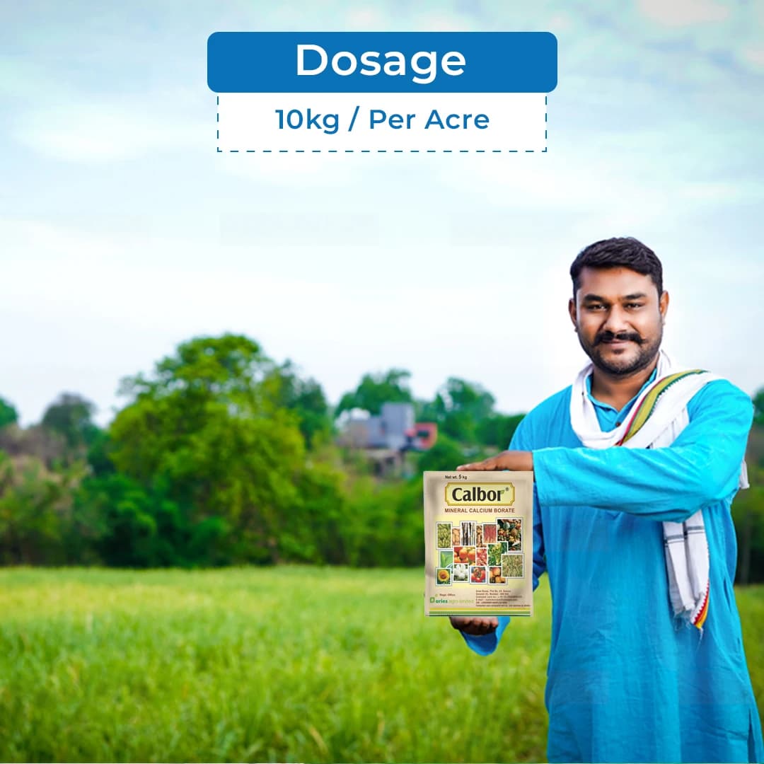 Aries Calbor Fertilizer - Mineral Calcium Borate - Image 5