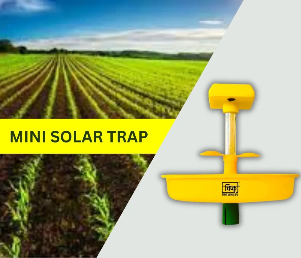 Chipku Mini Solar Insect Trap For Agriculture With UV Light, Solar Light Trap For Agriculture Insects Pests With 6 Months Warranty - Image 3