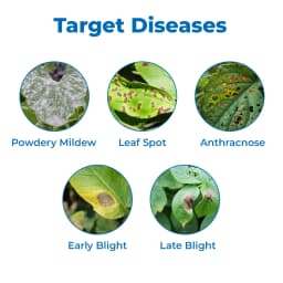 Tata Rallis Sarthak Methyl 15% + Chlorothalonil 56% Fungicide, Used for Potato and Chilli Crops. 3