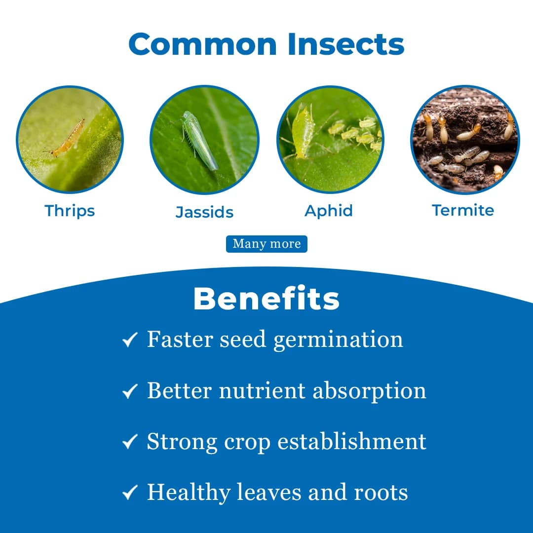 Bayer Gaucho Insecticide - Image 3