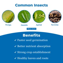 बायर गौचो - इमिडाक्लोप्रिड 600 एफएस (48% डब्ल्यू/डब्ल्यू) उपयोगकर्ता के अनुकूल बीज उपचार सूत्रीकरण 3