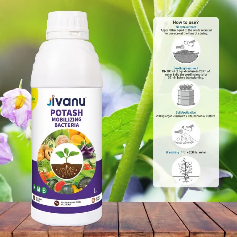 Green Revolution Jivanu KMB Potash Mobilizing Bacteria Liquid Bio Fertilizer - Image 6