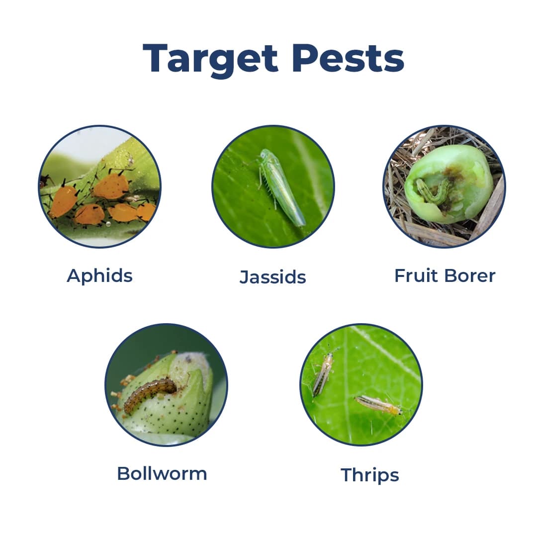 Agriventure Feen (Fenvalerate 20% EC), Recomended For Diamondback Moth, American Bollworm, Aphids - Image 3
