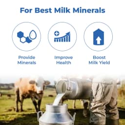 VetMantra MMC - Mineral Mixture For Higher Growth And Milk Production 4