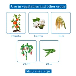 Agriventure Derin (Deltamethrin 11% Ec) Insecticide, Effective Controls Of Bollworm, Fruit Borer, Leaf Folder, Fruit Borer, Thrips 4