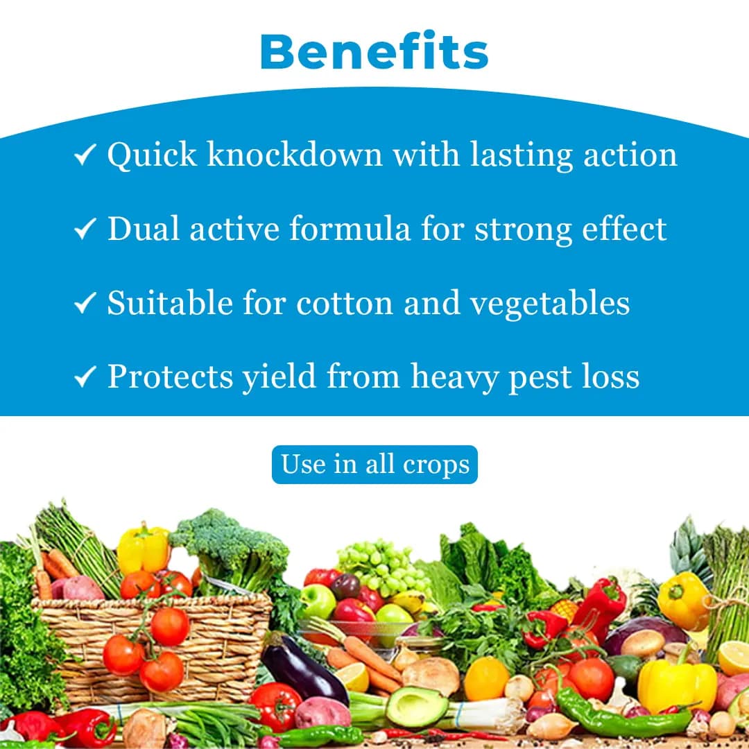 EBS Proper 404 Insecticide - Image 4