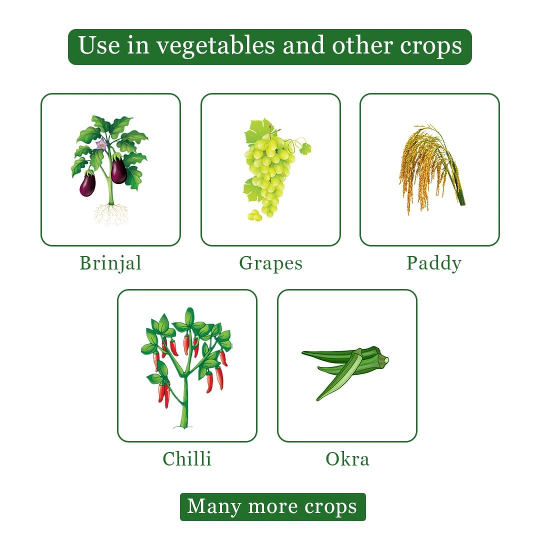 Katyayani Triple Attack Bio-Insecticide - Image 4