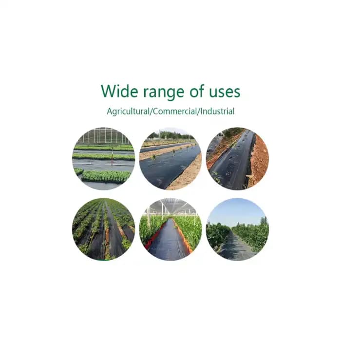 Singhal 150 GSM Weed Barrier Sheet, Landscape Fabric, Heavy Duty, Weed Block Gardening Mat For Gardens (White) - Image 11