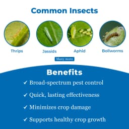 TATAFEN - Fenvalerate 20% EC Contact Synthetic Pyrethroid Insecticide For Controlling Termites 3
