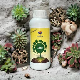 Utkarsh Zincoz (Zinc Solubilizing Microorganism) Biological Fertilizer, Enhances Plant Maturity, Improves Internode Length 2