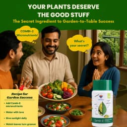 उत्कर्ष कॉम्बी-2 (EDTA चेलेटेड मिक्स माइक्रोन्यूट्रिएंट), जिंक, आयरन, मैंगनीज, कॉपर, बोरोन और मोलिब्डेनम जैसे आवश्यक सूक्ष्म पोषक तत्व प्रदान करता है। 5