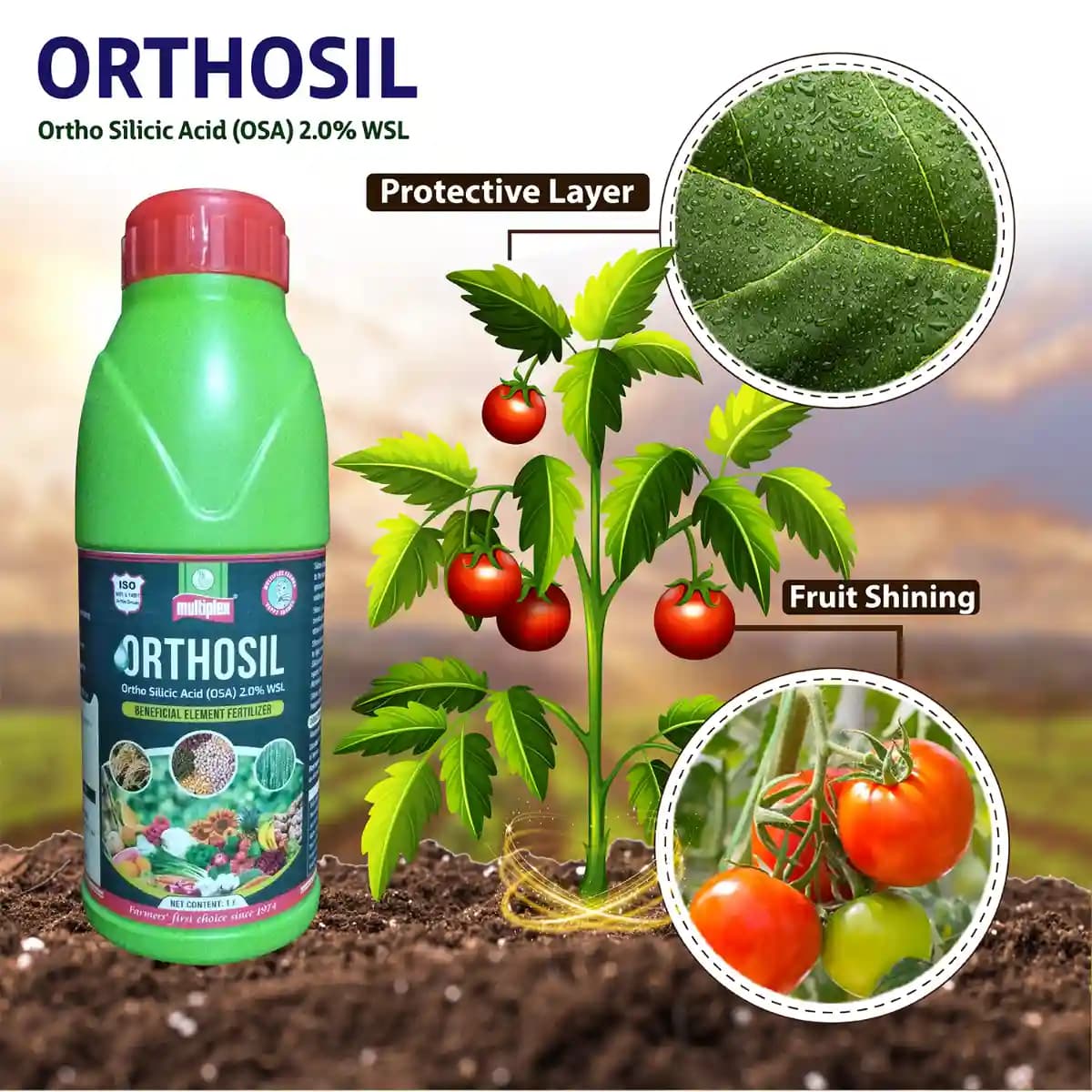Multiplex Orthosil Ortho Silicic Acid (OSA) 2.0% WSL Fertilizer, Boron And Potassium For Plant Strength And Growth - Image 3