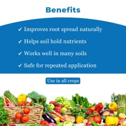 डॉ। बैक्टो वीएएम, वेसिकुलर अर्बुस्कुलर माइकोराइजा का तरल सूत्रीकरण, तरल उर्वरक। 4