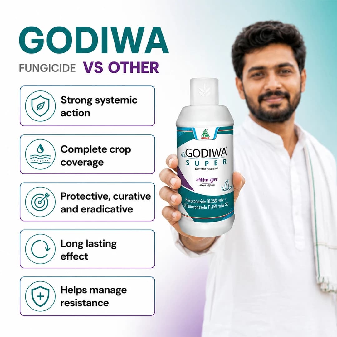 Dhanuka Godiwa Super Fungicide - Image 7