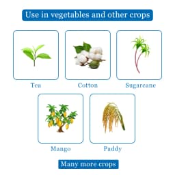Swal Monostar Monocrotophos 36% SL Insecticide, Contact And Stomach Action 4