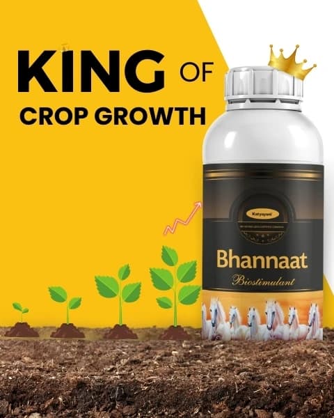 Katyayani Bhannaat Biostimulant Plant Growth Promoter, Increases Plant Resistance - Image 3